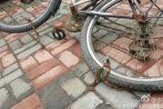 郑州自行车最新爆料新闻,揭秘行业最新发展亮点