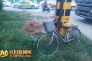 四川刘先生最新爆料,事件详情及背后真相