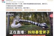 最新爆料暴雪事件是什么,揭秘最新爆料背后的真相与影响