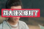 刘大锤爆料十二点半视频,十二点半视频背后的惊人真相