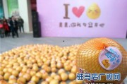 爆料鲜甜柚子怎么做的视频,跟随视频轻松学会柚子新吃法