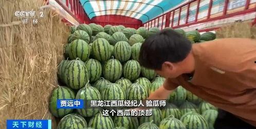 你们在网上吃瓜